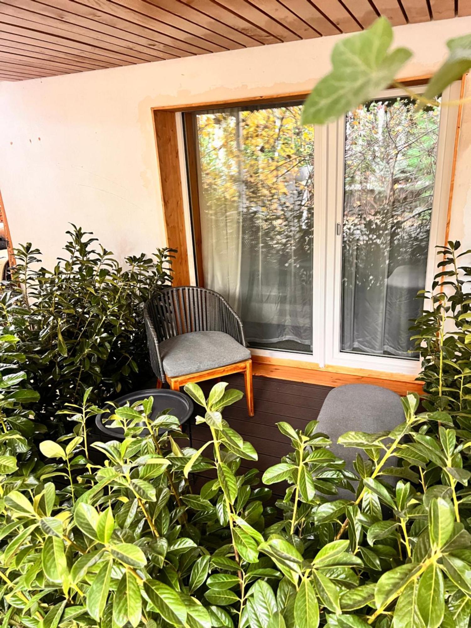 Shard Boutique Hotel-Adult Only 布拉索夫 外观 照片